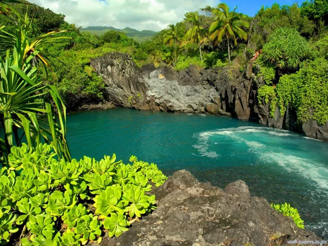 ۵ جزیره برتر دنیا که باید به آن سفر کنید