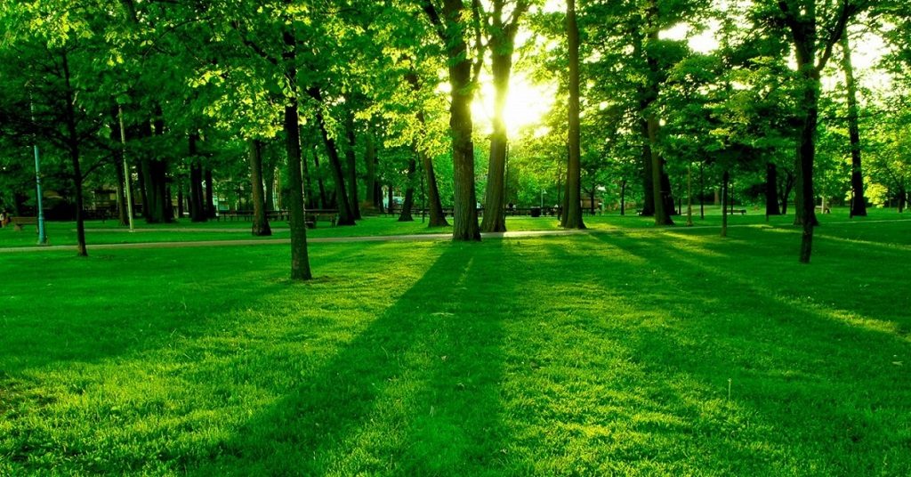 %d9%be%d8%a7%db%8c%d8%aa%d8%ae%d8%aa-%da%a9%d9%84%d9%85%d8%a8%db%8c%d8%a72