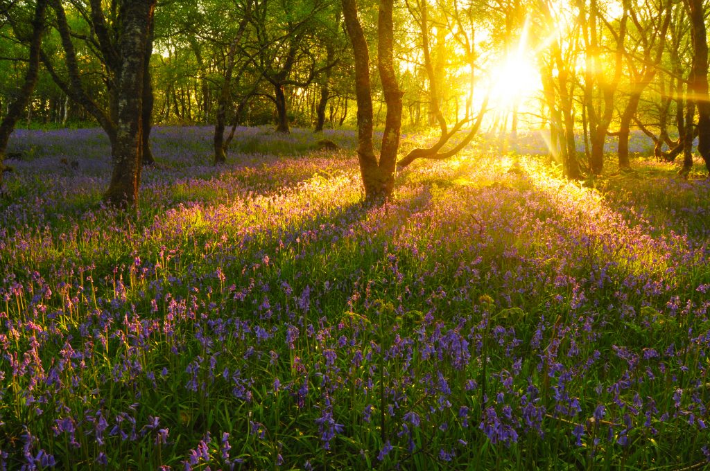 طبیعت زیباترین کشور جهان