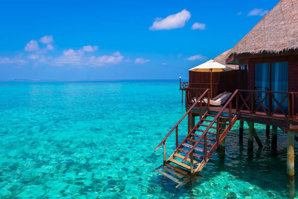 مالدیو یا سامویی