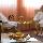 Amber Spa Boutique Hotel