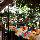 Tropica Bungalow Hotel