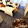 Hotel Biscuit