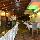 Hotel Green Palm
