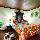 Tropica Bungalow Hotel