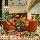 Habitat Hotel All Suites Al Khobar