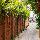 Tropica Bungalow Hotel