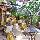 Tropica Bungalow Hotel