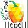 Yellow Pepper