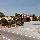 Econo Lodge Inn & Suites Near Florida Mall