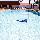 Econo Lodge Inn & Suites Near Florida Mall