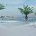 Apartamentos Playasol Jabeque Dreams