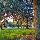 Mystic Dunes Resort & Golf Club by Diamond Resorts