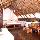 Hotel Cohiba - Party Hotel