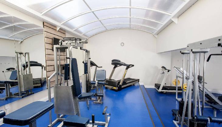 Swan Molinos Business