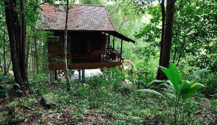 Chestnut Hill Eco Resort