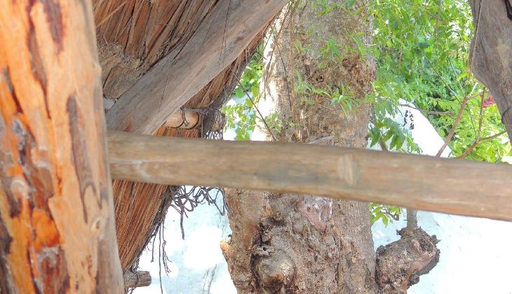 Apart Hotel Casaejido