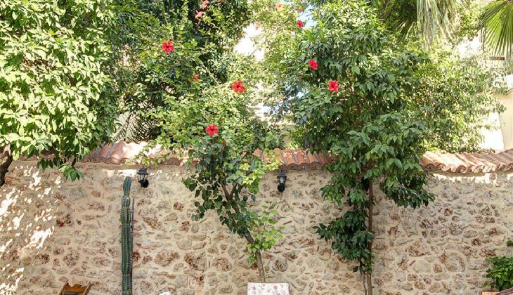 White Garden Pansion