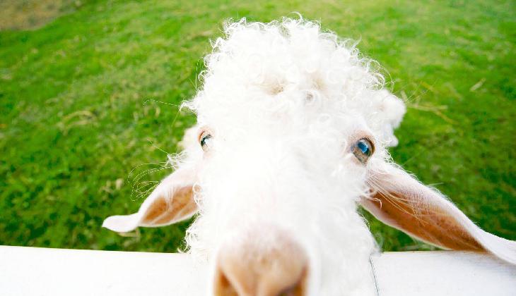 Pai Village Boutique Resort & Farm