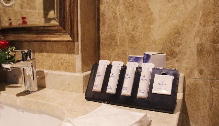 هتل مانسول لامارتین