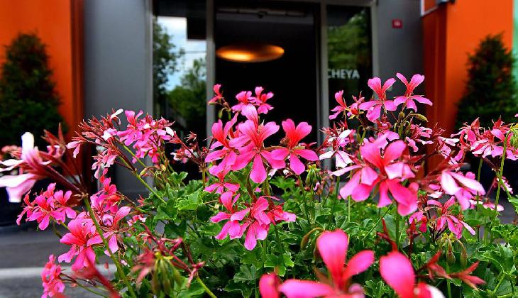 Cheya Besiktas Hotel & Suites