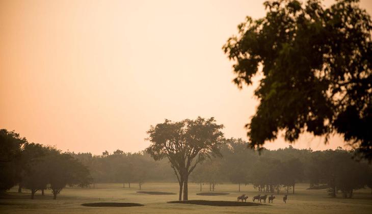 Nkonyeni Lodge & Golf Estate