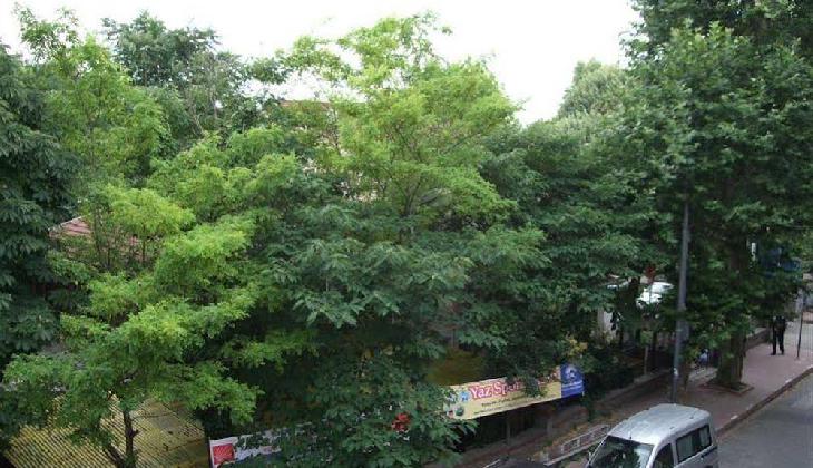 Caravan Palace Apart