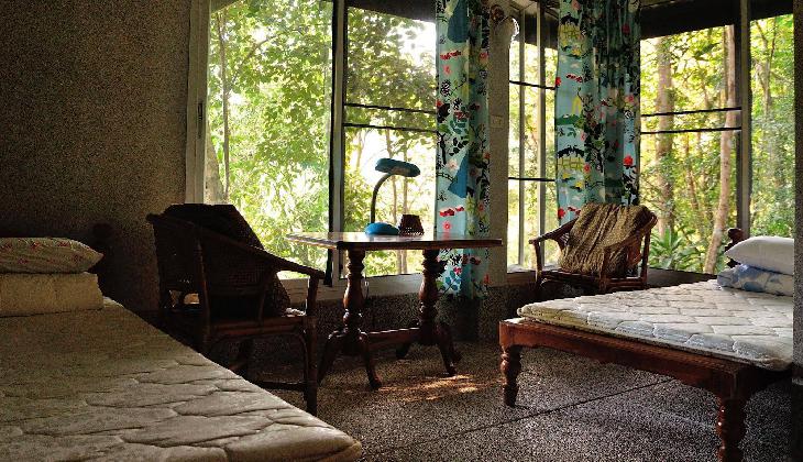 Chestnut Hill Eco Resort