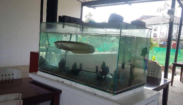 Gypsy Sea View Resort