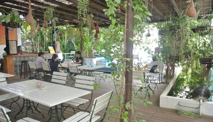 Alliance Boutique Villa