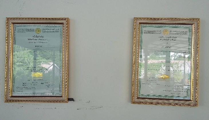 Gypsy Sea View Resort