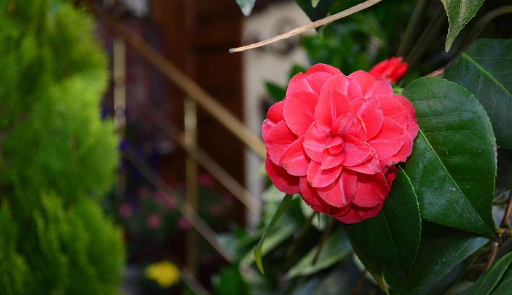 Boutique Hotel British House