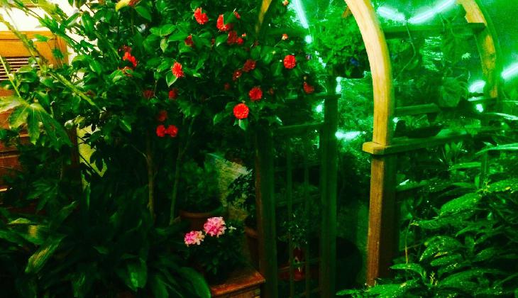 Boutique Hotel British House