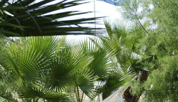 Washington Resort Hotel&Spa