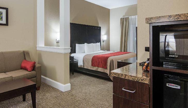 Comfort Inn & Suites FM1960-Champions