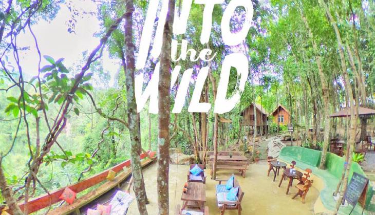 Chestnut Hill Eco Resort