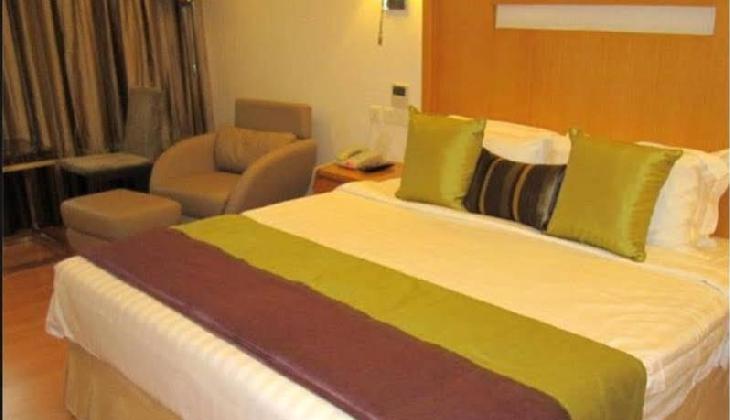 Manasarovar - The Fern