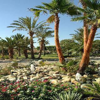 هتل و خانه های ییلاقی پالم بیچ