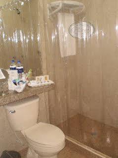 Hotel Platinum Suite