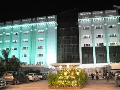 Manasarovar - The Fern