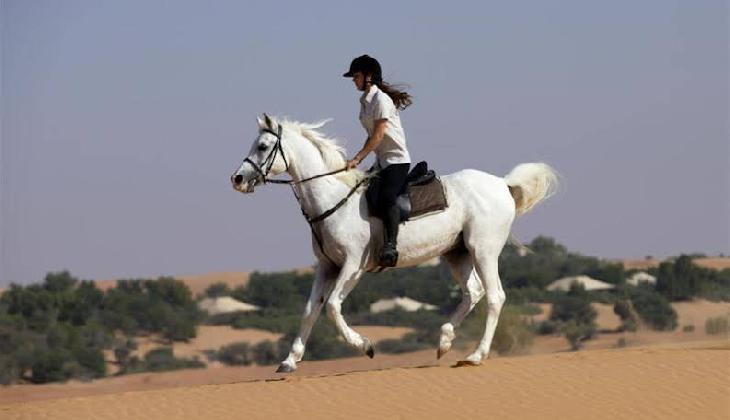 Al Maha A Luxury Collection Desert Resort And Spa