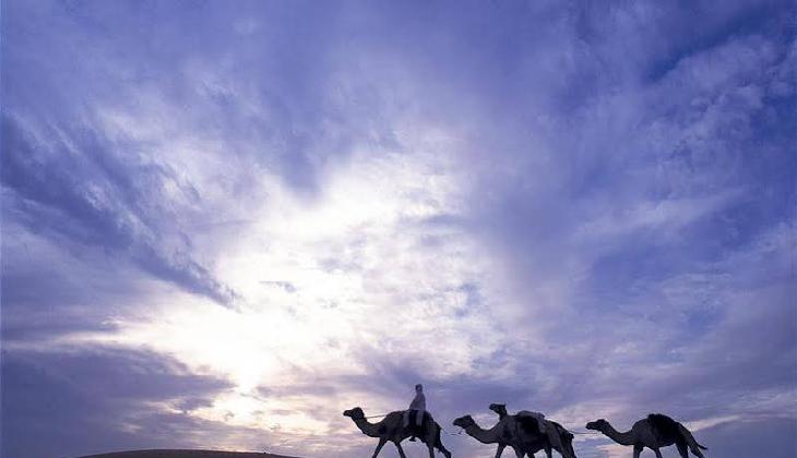 Al Maha A Luxury Collection Desert Resort And Spa