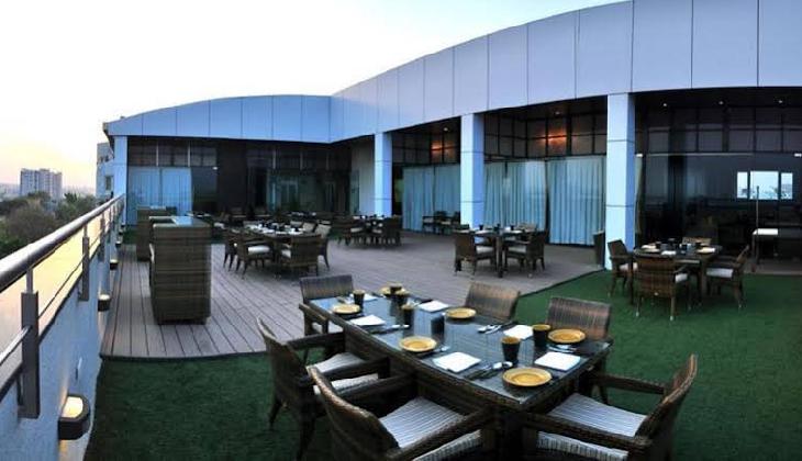 Manasarovar - The Fern