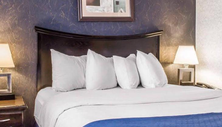 Quality Inn Floral Park