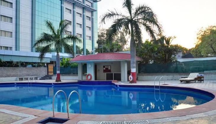 Manasarovar - The Fern