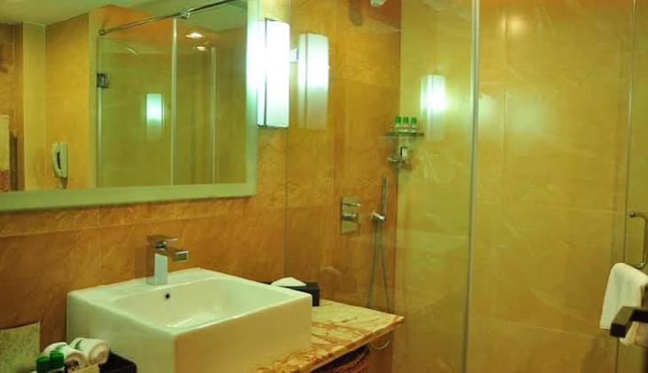 Manasarovar - The Fern