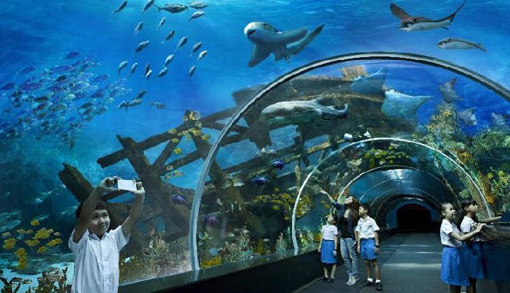 Resorts World Sentosa - Hard Rock Hotel