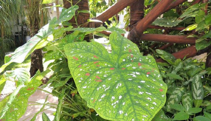 Apart Hotel Casaejido