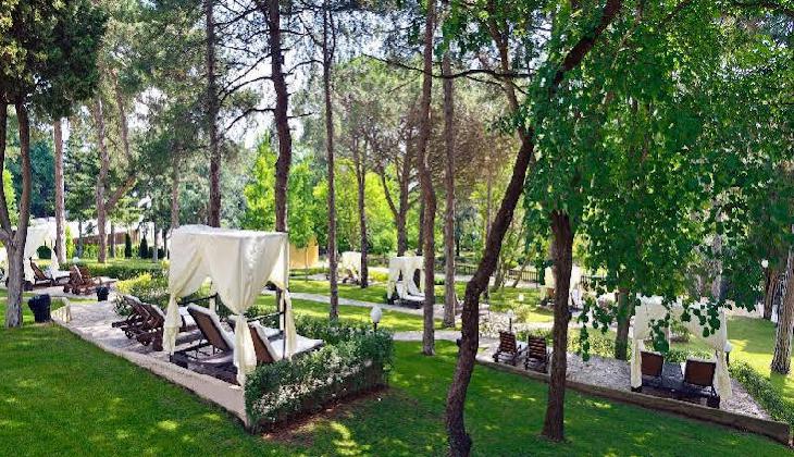 هتل ملیا گرند هرمیتاژ 