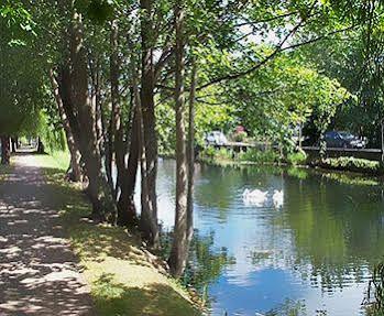 Morehampton Townhouse